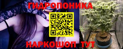 ГАЛЛЮЦИНОГЕННЫЕ ГРИБЫ Гусь-Хрустальный